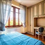 Luxury View Private Villa Como